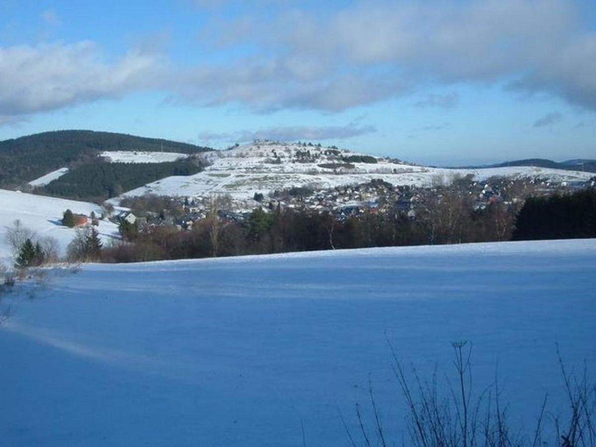 Cosy In Willingen Usseln With Terrace